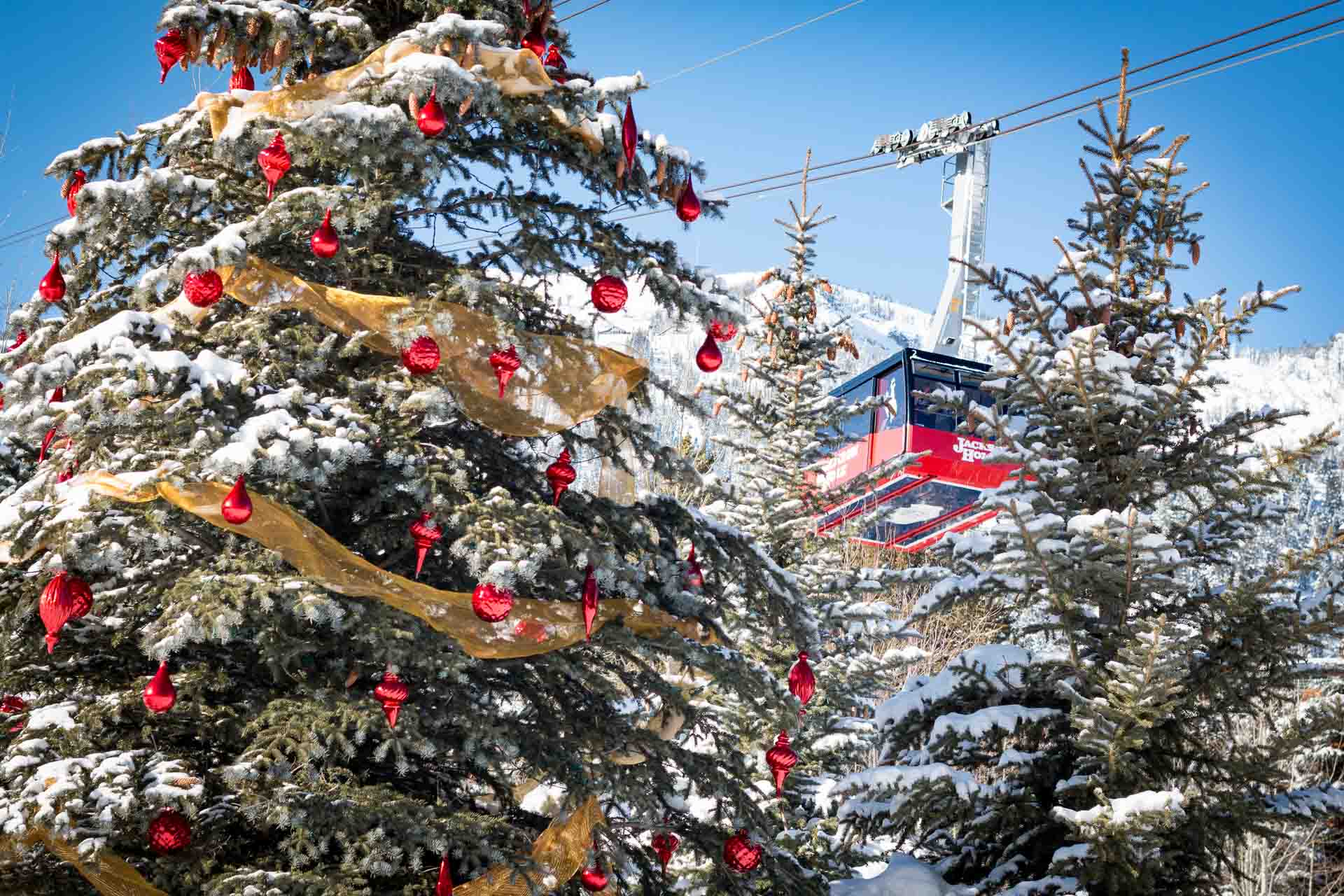 Stockton & Shirk Featured in the JH Scout Guide